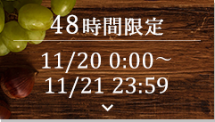 48時間限定