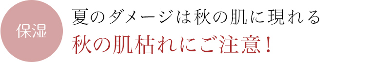 夏のダメージは秋の肌に現れる。秋の肌枯れにご注意！